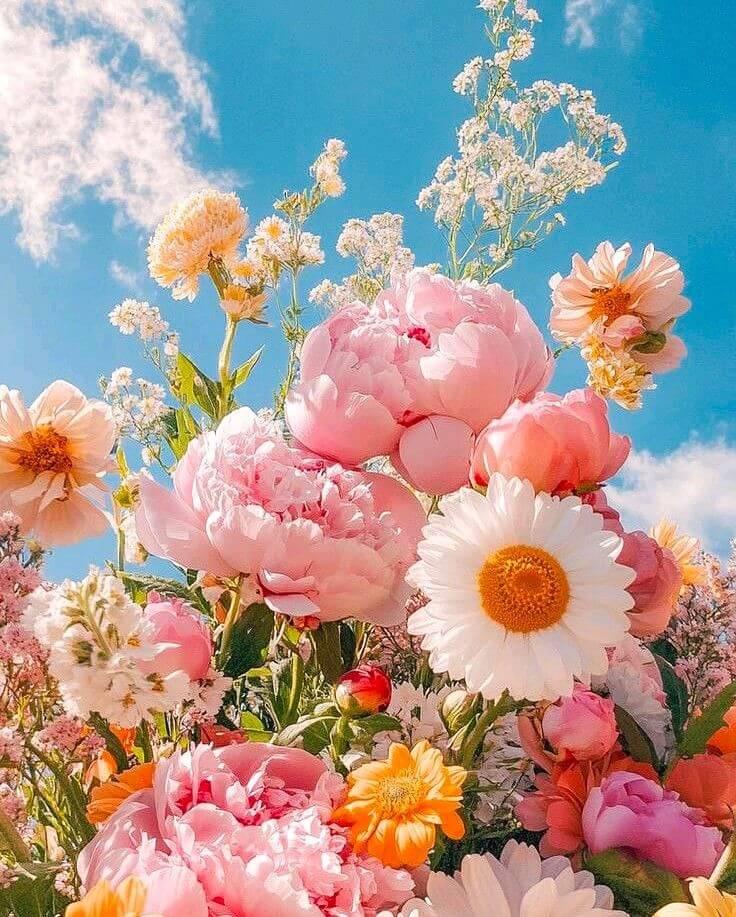 Flirty Floral